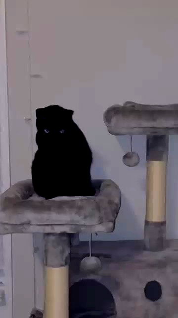 pimpdaddyextreme pimpdaddyextreme archive video