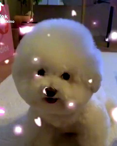 redroomromance redroomromance archive video