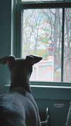 1kyle8_ Altpins Profile Picture