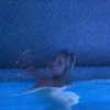 nasteppa Altpins Profile Picture