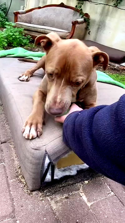 feelbetterinmysweater feelbetterinmysweater archive video