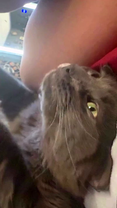 vamppyrbaby vamppyrbaby archive video