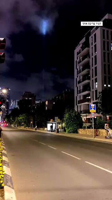 tuliprivet tuliprivet archive video