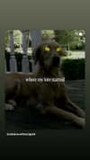 skyyy_babyyy3 Altpins Profile Picture
