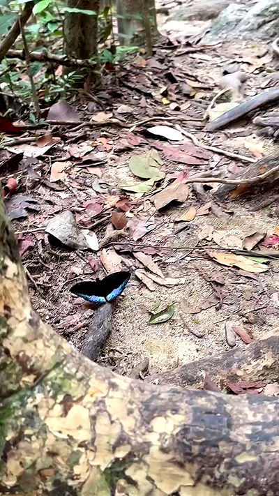 talweisswasser talweisswasser archive video