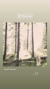 ch111oe Altpins Profile Picture