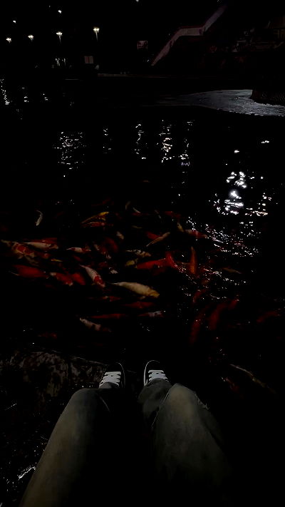 oqr0_ oqr0_ archive video