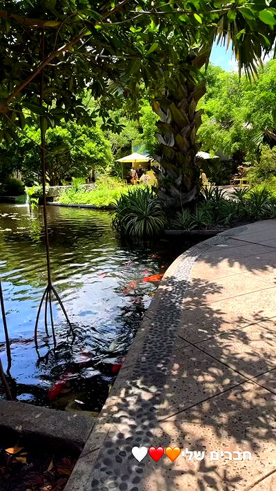 biton__adi biton__adi archive video