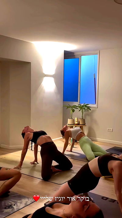 talweisswasser talweisswasser archive video