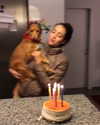 shellydekel Altpins Profile Picture