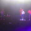 shellydekel Altpins Profile Picture