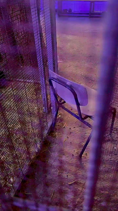 feelbetterinmysweater feelbetterinmysweater archive video