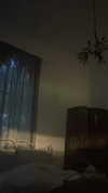 noam_fogel40 Altpins Profile Picture