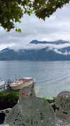 roni_ackerman Altpins Profile Picture