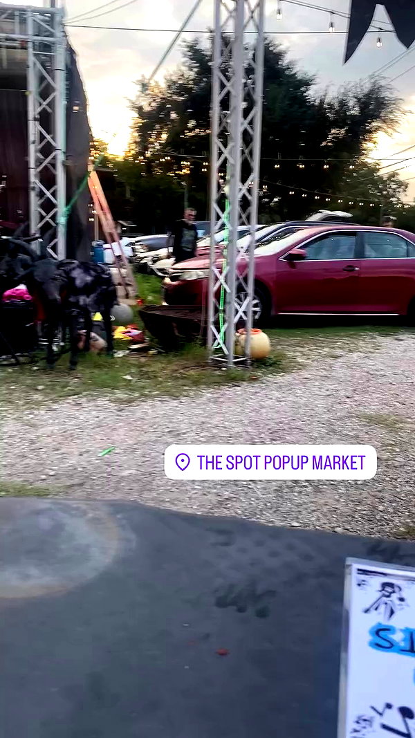 haley_meister archive video preview
