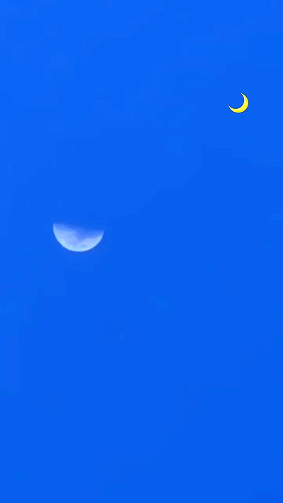 liashaked liashaked archive video