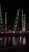 shelly_roberin Altpins Profile Picture