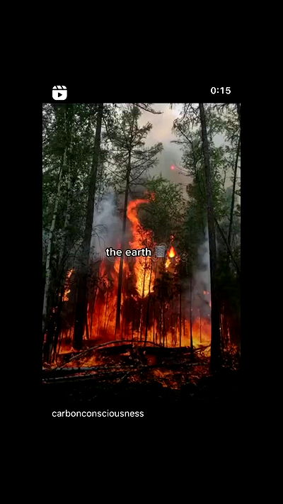 liashaked liashaked archive video