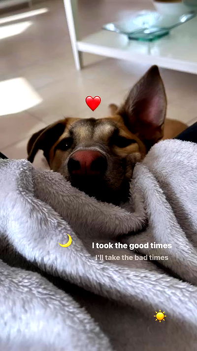 liashaked liashaked archive video