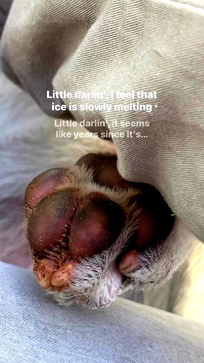 liashaked liashaked archive video