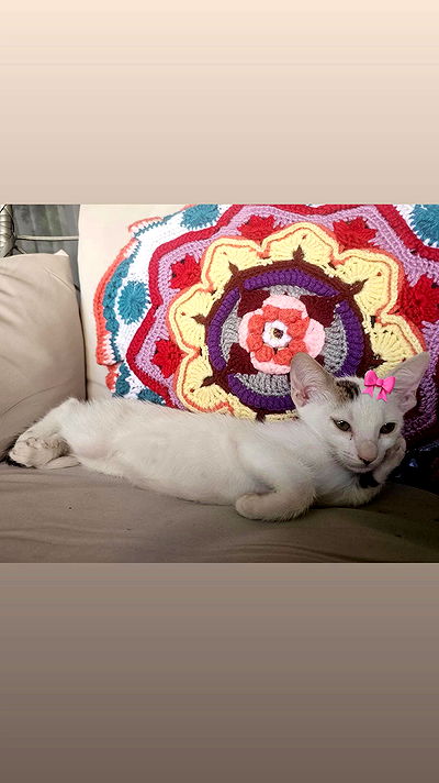 natalllluli natalllluli archive video