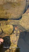 sarah.anne.dipity Altpins Profile Picture