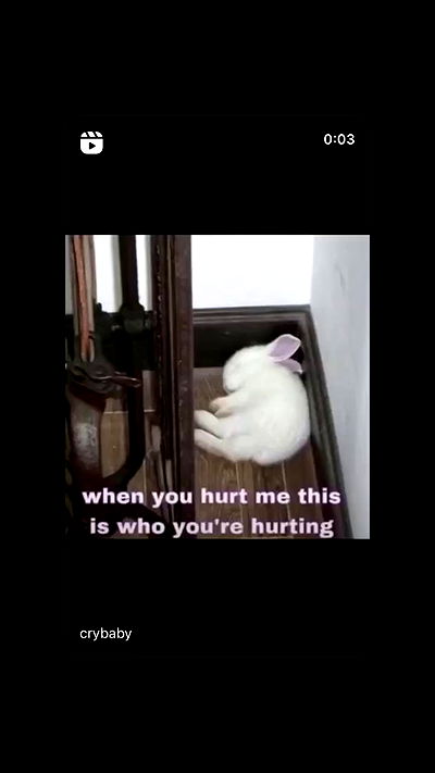 liashaked liashaked archive video