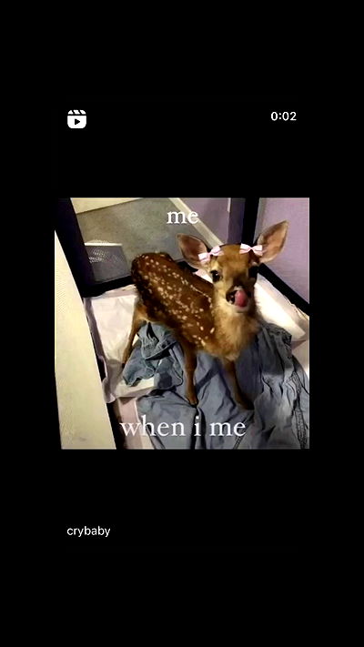 liashaked liashaked archive video