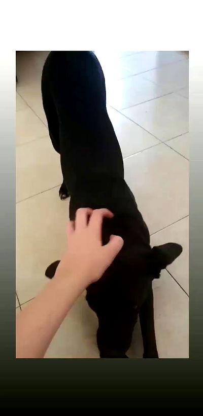 liashaked liashaked archive video