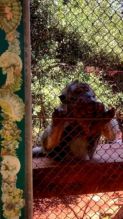 feelbetterinmysweater feelbetterinmysweater archive video