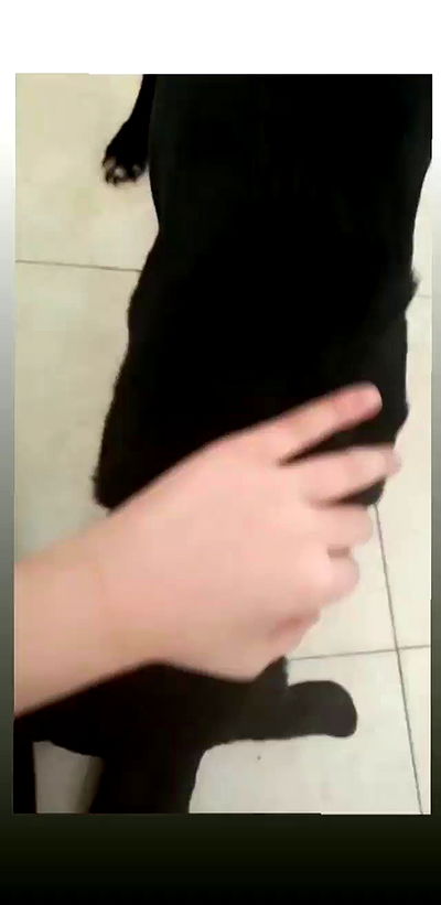 liashaked liashaked archive video