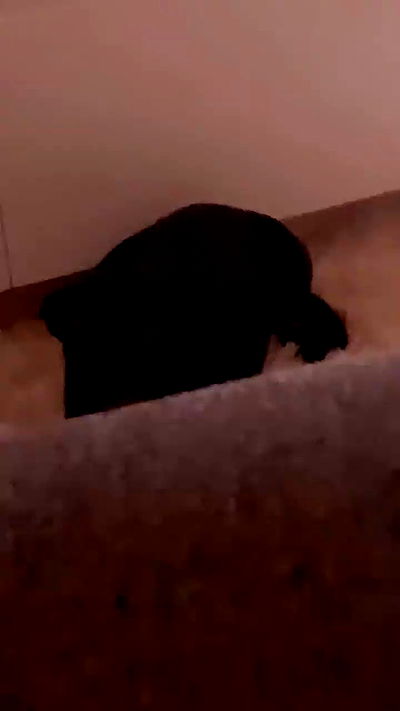 liashaked liashaked archive video