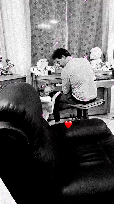 liashaked liashaked archive video