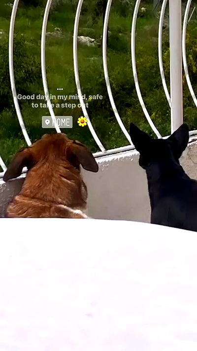 liashaked liashaked archive video