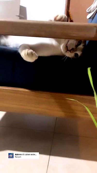 liashaked liashaked archive video