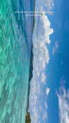 noa_mendel_ Altpins Profile Picture