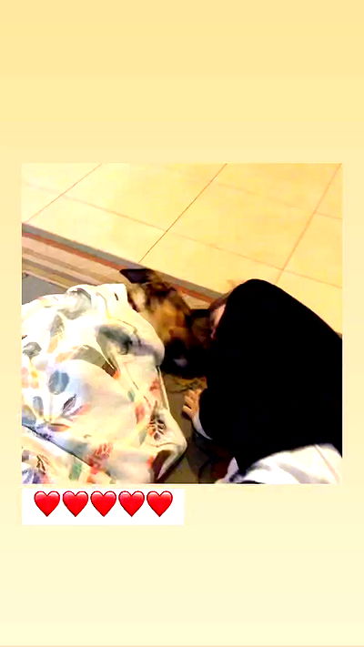 liashaked liashaked archive video