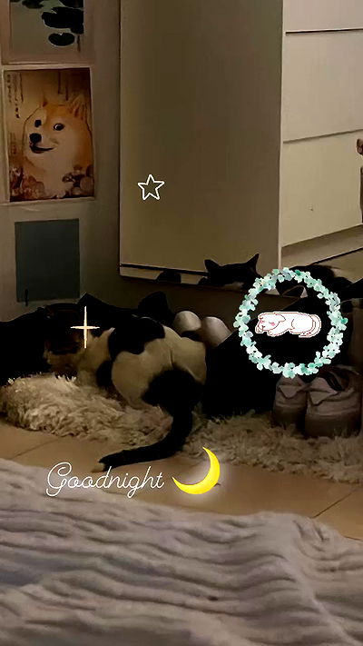 liashaked liashaked archive video