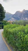 roni_ackerman Altpins Profile Picture
