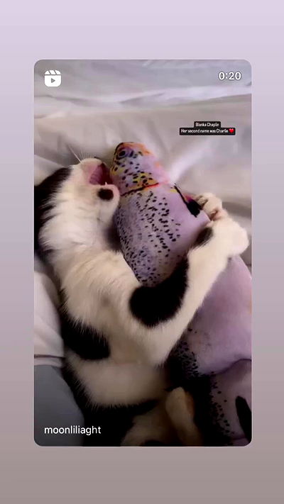 liashaked liashaked archive video