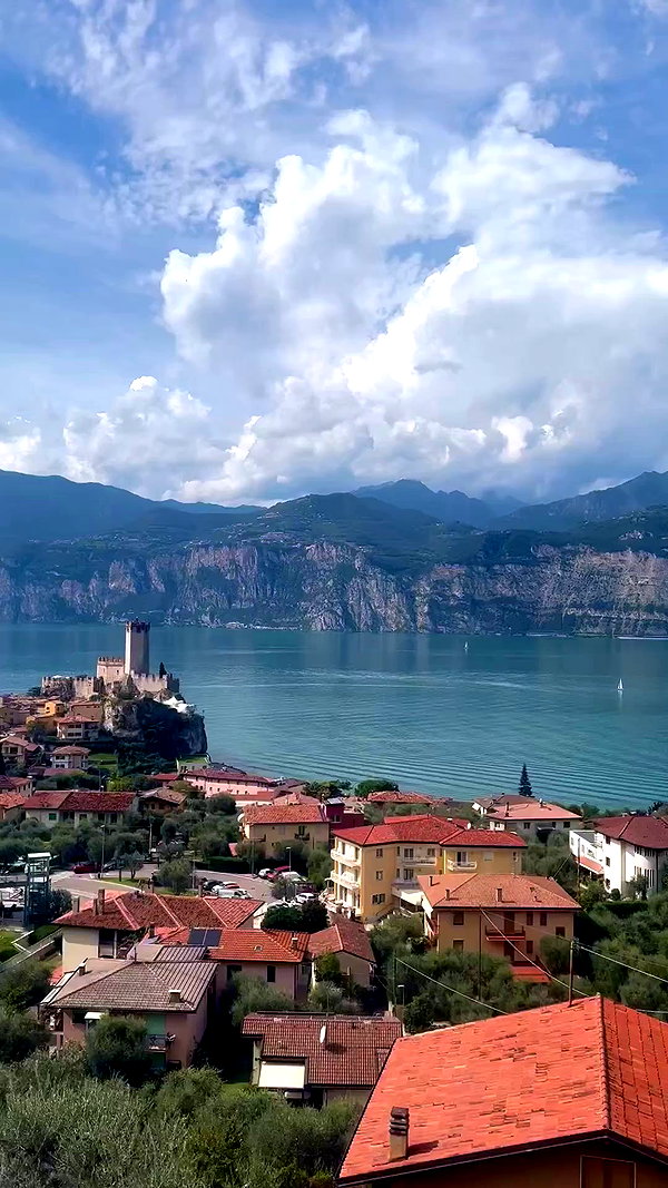 roni_ackerman archive video preview