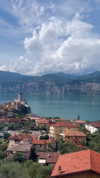 roni_ackerman Altpins Profile Picture