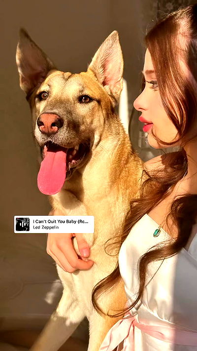 liashaked liashaked archive video