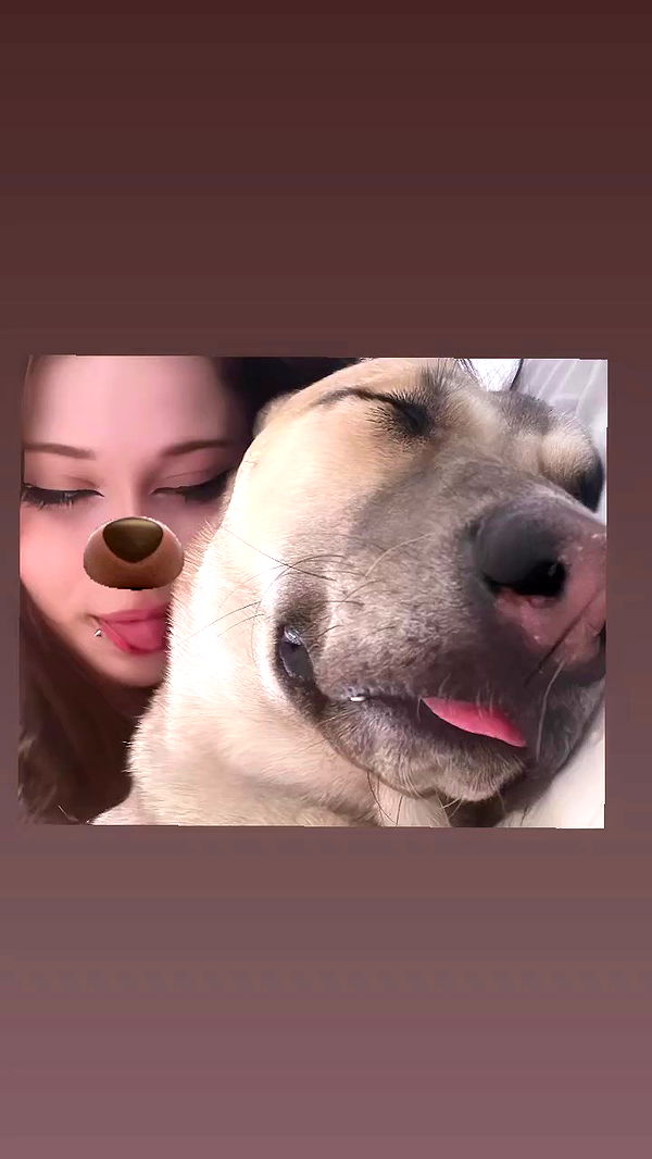 liashaked archive video preview