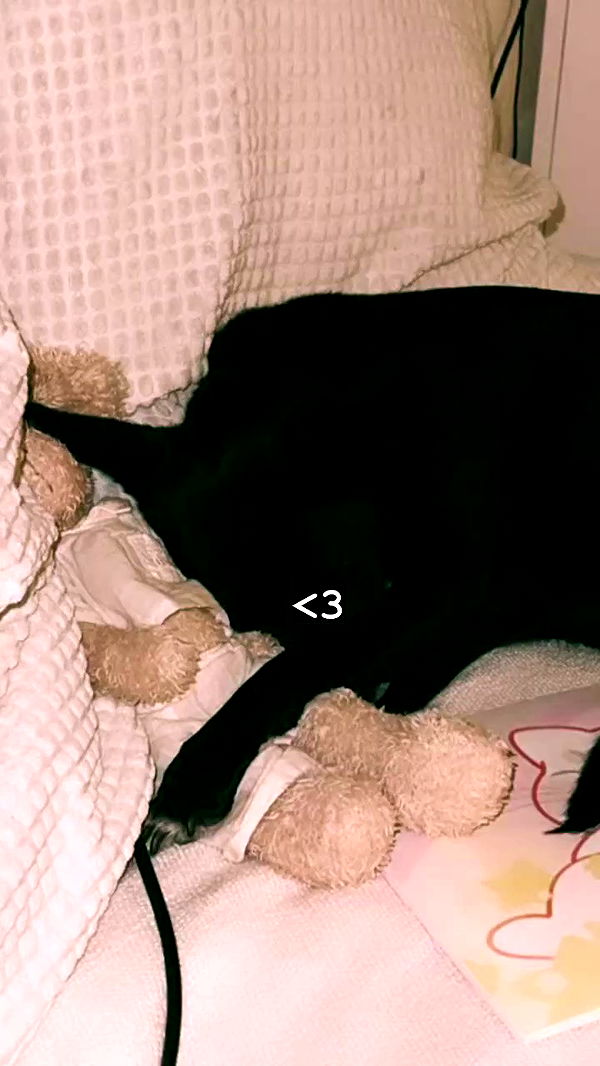 liashaked archive video preview