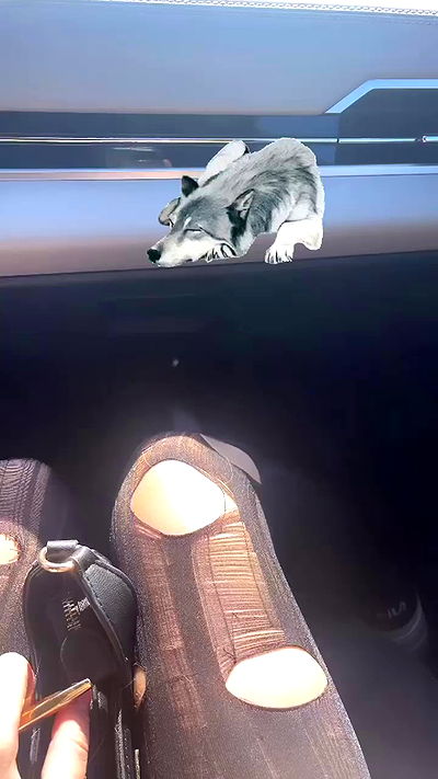 liashaked liashaked archive video