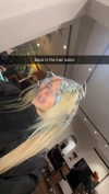 maddietaggx Altpins Profile Picture