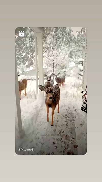 liashaked liashaked archive video