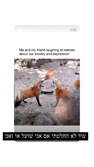 liashaked liashaked archive video