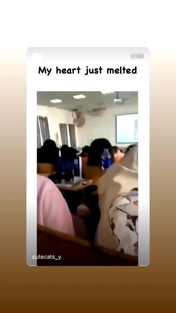 liashaked archive video preview